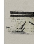Cover: Astrid Klein. transcendental homeless centralnervous - K&ouml;nig, Walther