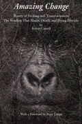 Cover: Amazing Change - Bombshelter Press