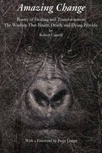 Enlarge image Cover: Amazing Change - Bombshelter Press