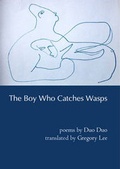 Cover: The Boy Who Catches Wasps - Zephyr Press