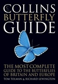 Cover: Collins Butterfly Guide - Collins