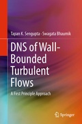 Cover: DNS of Wall-Bounded Turbulent Flows - Springer