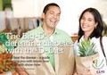 Cover: The Big-D - Vegetarian & Vegan Foundation