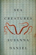 Cover: Sea Creatures - HarperCollins