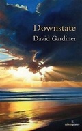 Cover: Downstate - Salmon Poetry