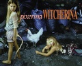 Cover: Pixerina Witcherina - Illinois State University, University Galleries