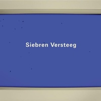 Enlarge image Cover: Siebren Versteeg - Illinois State University, University Galleries