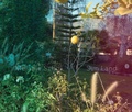 Cover: Melanie Schiff: Sun Land - Illinois State University, University Galleries