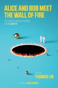 Enlarge image Cover: Alice and Bob Meet the Wall of Fire - MIT Press