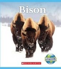 Cover: Bison (Nature's Children) - C. Press/F. Watts Trade