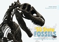 Cover: The 50 State Fossils - Schiffer Publishing Ltd