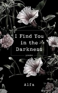 Cover: I Find You in the Darkness - St Martin's Press