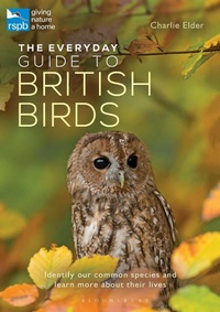 Abbildung von: The Everyday Guide to British Birds - Bloomsbury Natural History