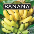 Cover: Banana - Bearport Books