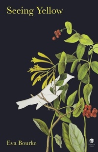 Enlarge image Cover: Seeing Yellow - Dedalus Press