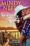 Cover: Surprised by a Baby - Mindy Neff