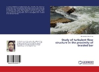 Abbildung von: Study of turbulent flow structure in the proximity of braided bar - LAP Lambert Academic Publishing