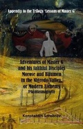 Cover: Adventures of Master G and his faithful disciples Morose and Bitumen in the Nigredo Valley, or Modern Alchemy - Serebrov Boeken
