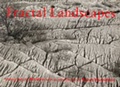 Cover: Fractal Landscapes - Cornerhouse Publications
