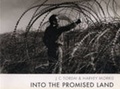 Cover: Into the Promised Land - Cornerhouse Publications