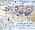 Cover: The Long, Wild Shore - Silver Brant