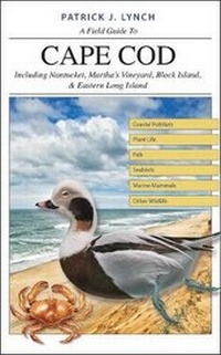 Enlarge image Cover: A Field Guide to Cape Cod - Yale University Press