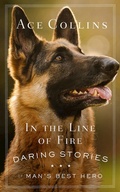 Cover: In the Line of Fire - Abingdon Press