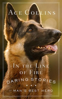 Enlarge image Cover: In the Line of Fire - Abingdon Press