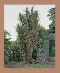 Enlarge image Cover: Oksun Kim - Hatje Cantz Verlag
