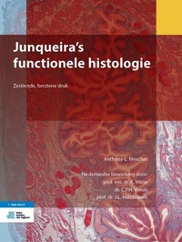 Abbildung von: Junqueira's functionele histologie - Bohn Stafleu Van Loghum