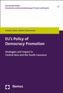 Cover: EU's Policy of Democracy Promotion - Nomos
