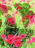 Cover: The Butterfly Book - Lysander Books