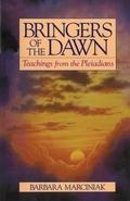 Cover: Bringers of the Dawn - Bear & Company
