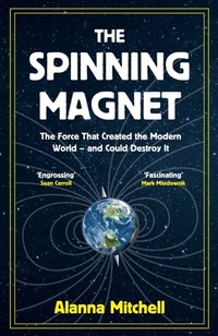 Abbildung von: The Spinning Magnet - Oneworld Publications