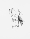 Cover: Brice Marden - Trolley Books