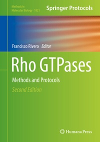 Abbildung von: Rho GTPases - Humana