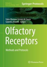 Abbildung von: Olfactory Receptors - Humana