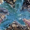 Cover: Barrie Cooke - Eblana Editions