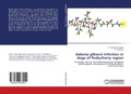 Cover: Babesia gibsoni infection in dogs of Puducherry region - LAP Lambert Academic Publishing