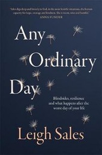 Enlarge image Cover: Any Ordinary Day - Hamish Hamilton