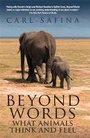 Cover: Beyond Words - Souvenir Press Ltd