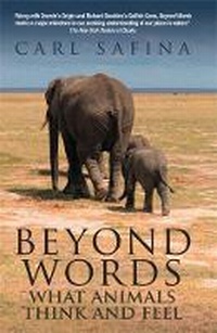 Enlarge image Cover: Beyond Words - Souvenir Press Ltd