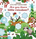 Cover: Are You There Little Reindeer? - Usborne Publishing Ltd
