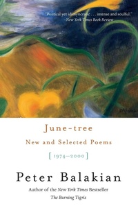 Enlarge image Cover: June Tree - HarperCollins