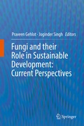 Cover: Fungi and their Role in Sustainable Development: Current Perspectives - Springer