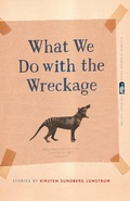 Cover: What We Do with the Wreckage - Cokesbury
