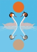 Cover: I Like Birds: Nesting Set of 2 Paperback Notebooks - Quadrille Publishing Ltd