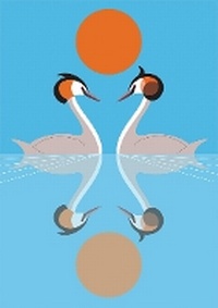 Enlarge image Cover: I Like Birds: Nesting Set of 2 Paperback Notebooks - Quadrille Publishing Ltd