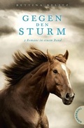 Cover: Gegen den Sturm - Thienemann