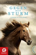 Cover: Gegen den Sturm - Thienemann